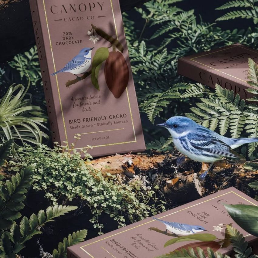Chocolate box mockup featuring bird-themed packaging placed on mossy forest ground with twigs and greenery in the background.