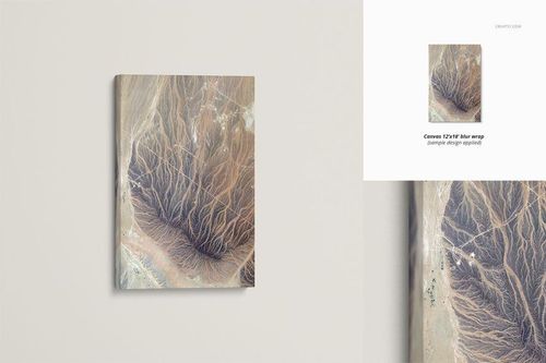 Front view of a rectangular canvas print mockup with an abstract earth-toned pattern, displayed on a light wall.