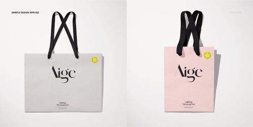 Mockup showing a pair of paper gift bags with black cotton ribbon handles, featuring different pastel colors and simple design.