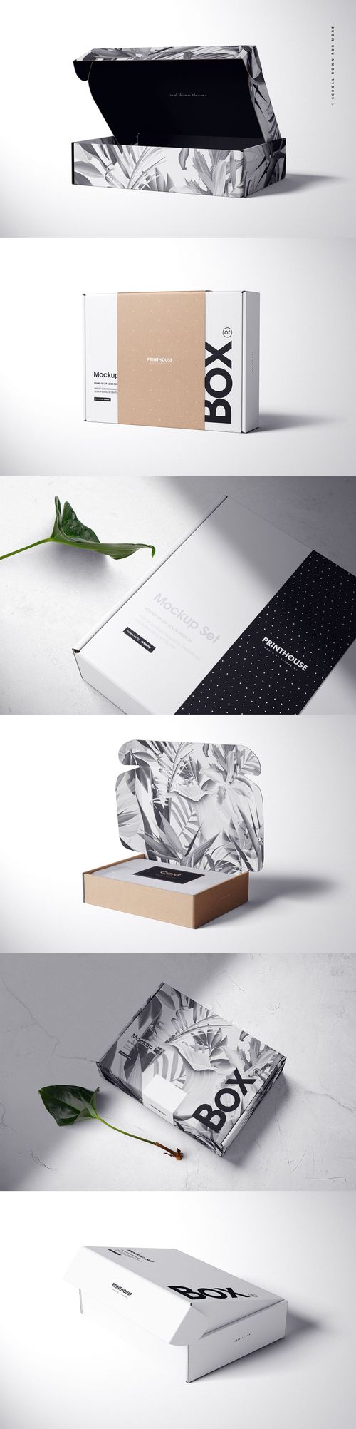 Rectangular mailing box mockup with monochrome botanical pattern, shown in various angles and open and closed views.