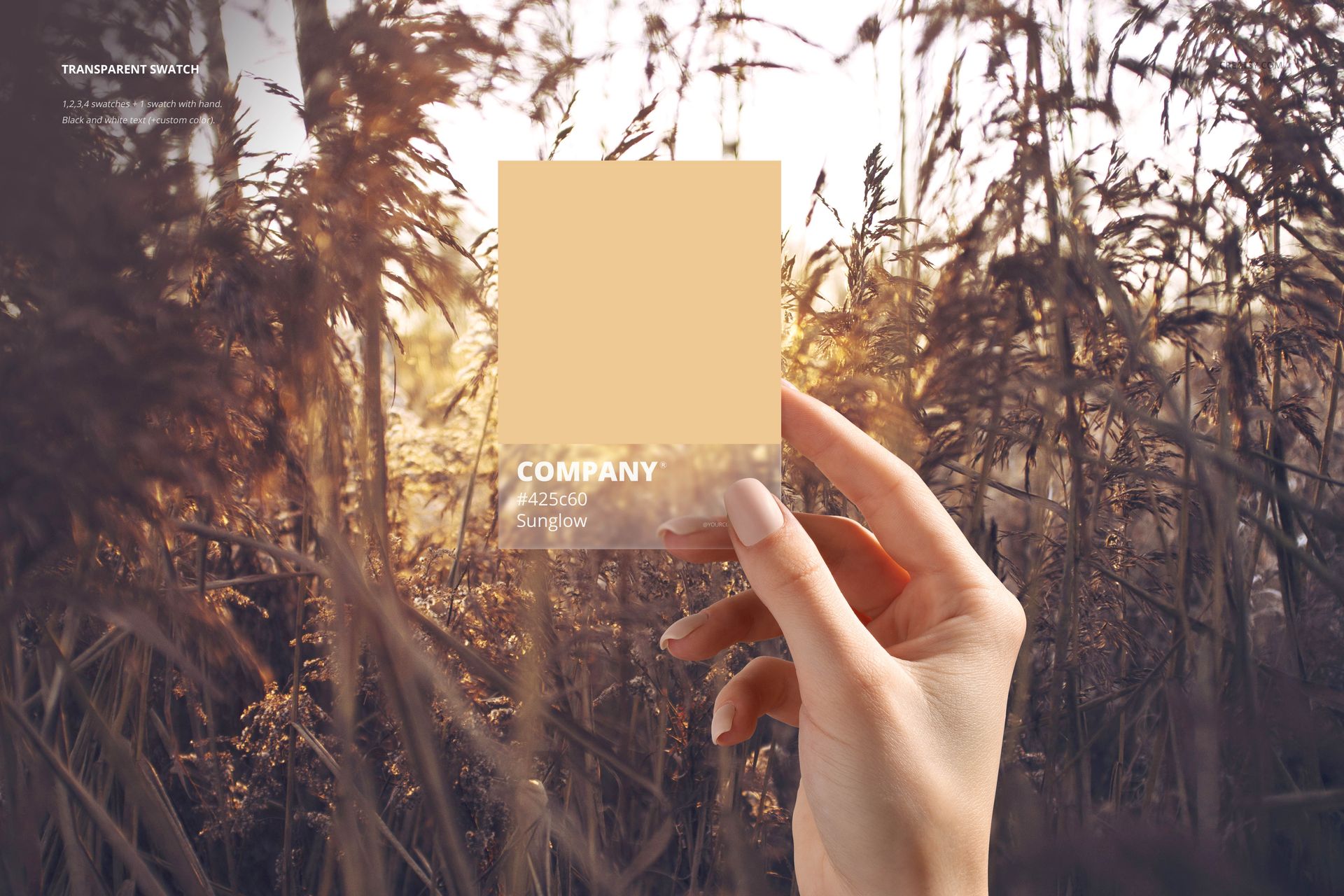 Close-up of a person’s hand displaying a beige color swatch mockup in front of golden grass outdoors.