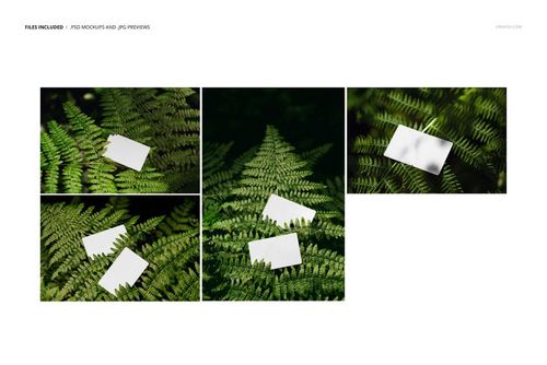 PSD mockup of white business cards placed on vibrant green ferns, highlighting different perspectives and lighting.