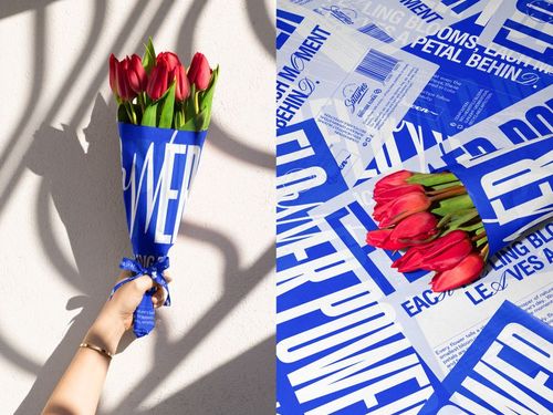 Hand holding a bouquet of red tulips wrapped in blue tissue paper with bold white text, shown in bright sunlight.