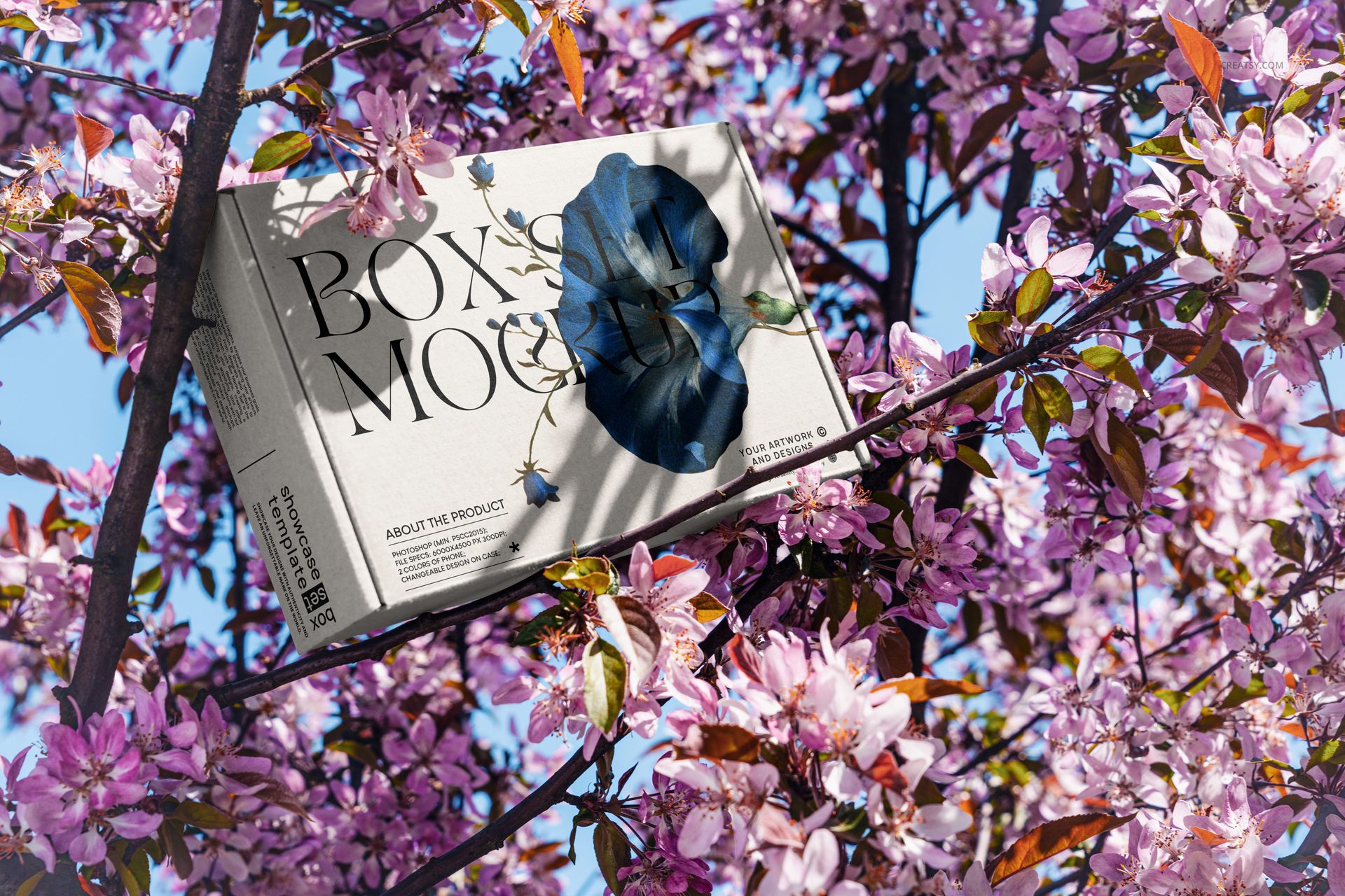 Rectangular mailing box mockup with minimalist design and dark floral graphic, placed among blooming pink branches outdoors.