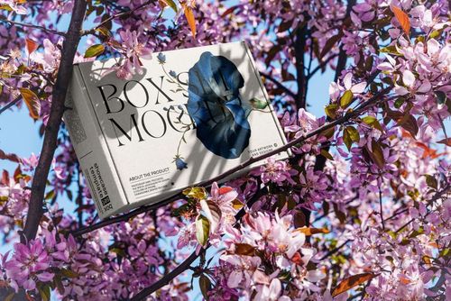 Rectangular mailing box mockup with minimalist design and dark floral graphic, placed among blooming pink branches outdoors.