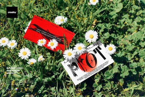 Two business cards, one red and one white, displayed on green grass among blooming daisies in a top view mockup scene.