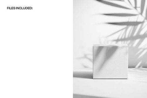 Minimalist cube box mockup displayed on a light background with dramatic botanical shadows cast across the scene.