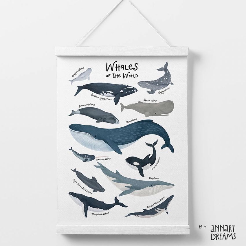 Poster mockup featuring illustrated whales in various shades of blue and gray, hanging with a wooden frame on a light background.