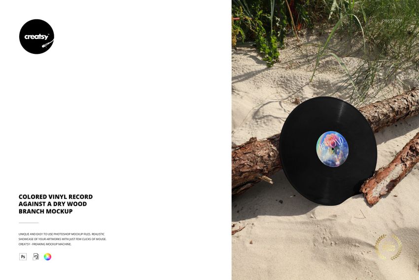 PSD mockup of a vinyl record with a multicolored center lying on a dry branch in a natural sandy setting.