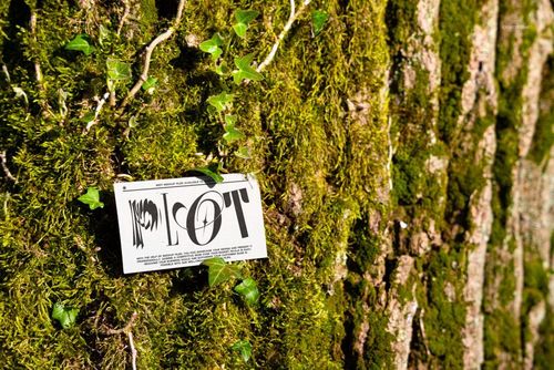 Rectangular business card mockup placed on mossy tree bark, surrounded by green ivy leaves in a forest setting.