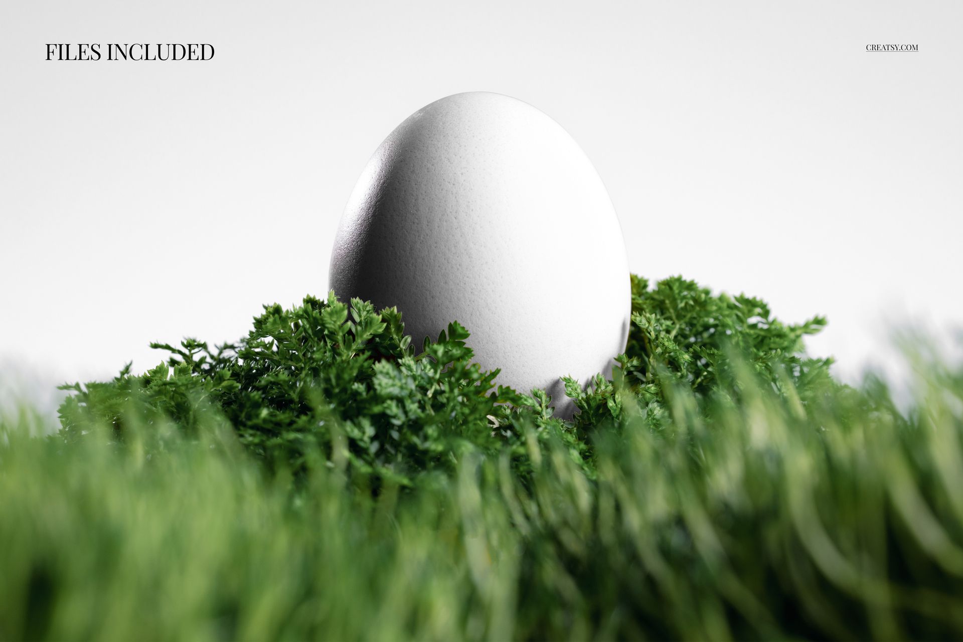 Minimalist PSD mockup of a single white egg nestled in vibrant green moss, photographed from the front.