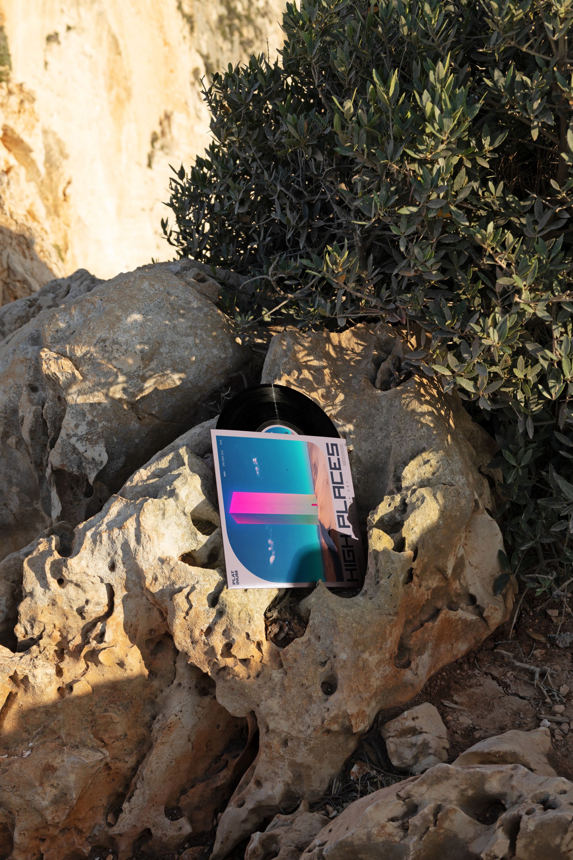 Outdoor scene featuring a black vinyl record mockup partially inserted into rocky terrain beside a leafy bush.