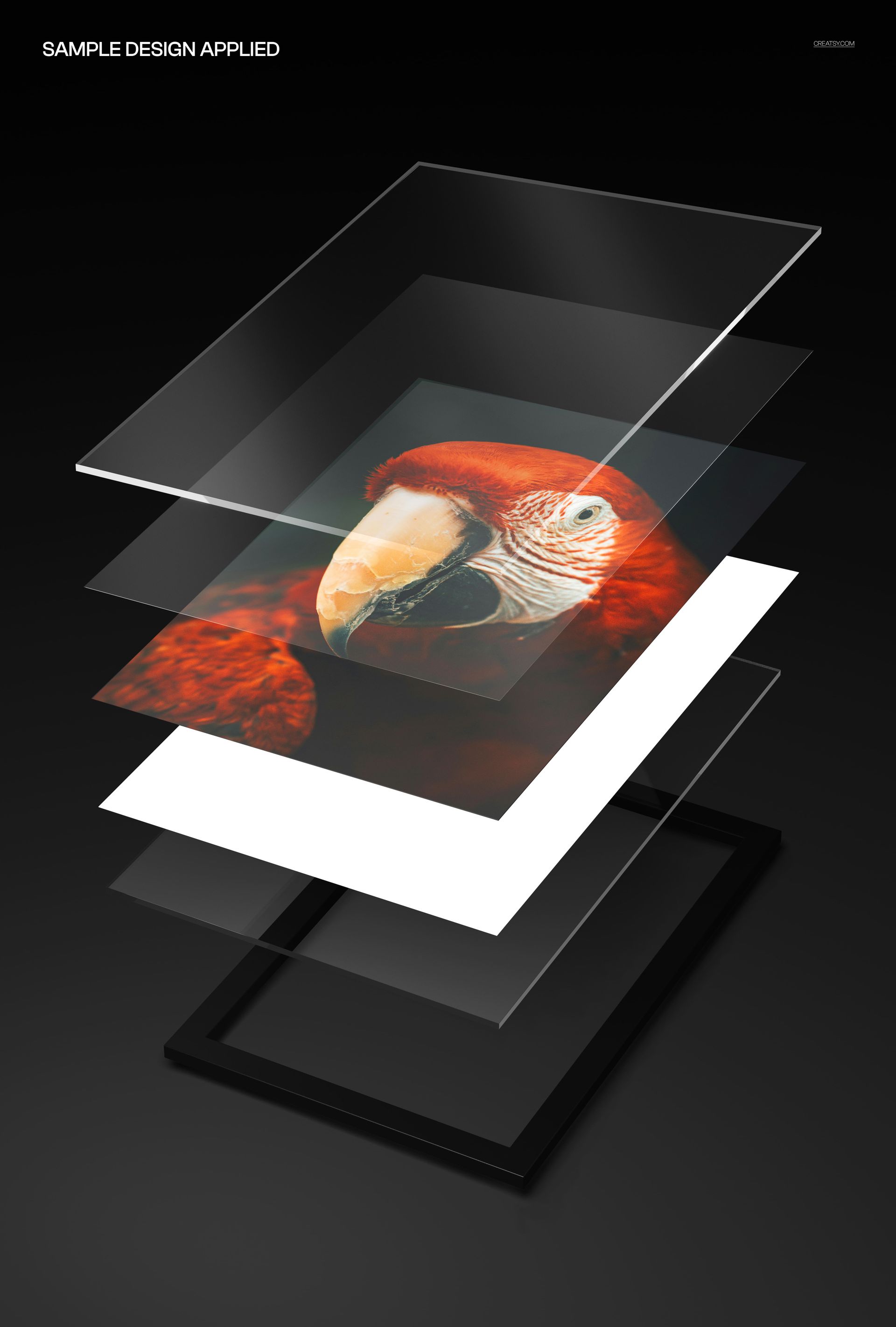 Floating acrylic print mockup showing layered transparent panels with a parrot image, viewed from the front on a dark background.