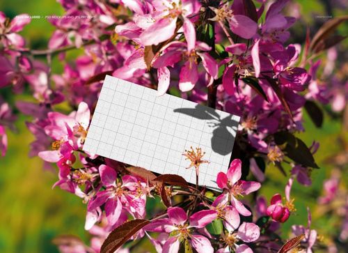 PSD mockup of a business card resting on vibrant pink blossoms, surrounded by green foliage in natural sunlight.