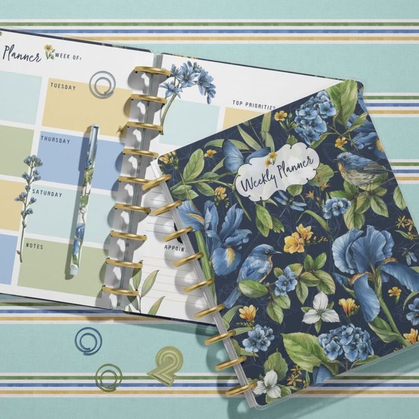 Top view of two spiral planners on a striped pastel surface, one open showing a weekly layout, the other closed with a blue floral cover.