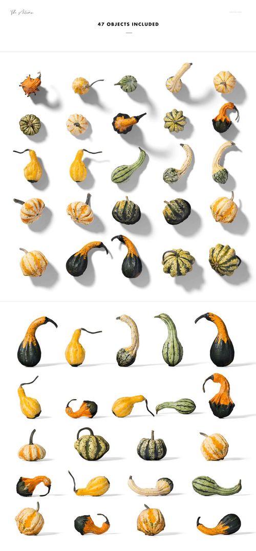 PSD mockup showing multiple ornamental gourds in assorted patterns and hues, all viewed from above with shadow effects.