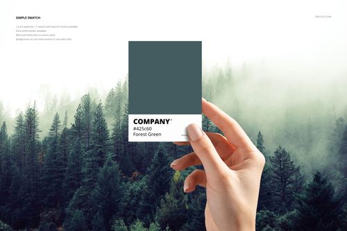 Front view of a forest green color match mockup card held by hand with pine trees and fog in the background.