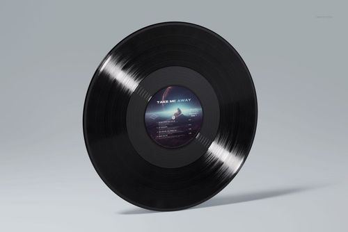 Black vinyl record with a colorful center label displayed upright on a light gray background, music mockup scene.
