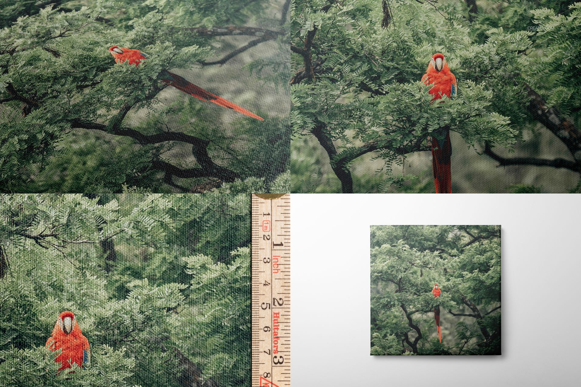 Square canvas print mockup featuring a close-up view of a parrot perched on green tree branches, shown from multiple angles.