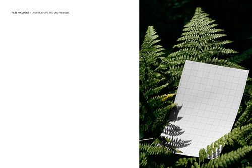 Poster mockup featuring a blank grid sheet placed among green fern leaves, shown from a slightly angled top view.