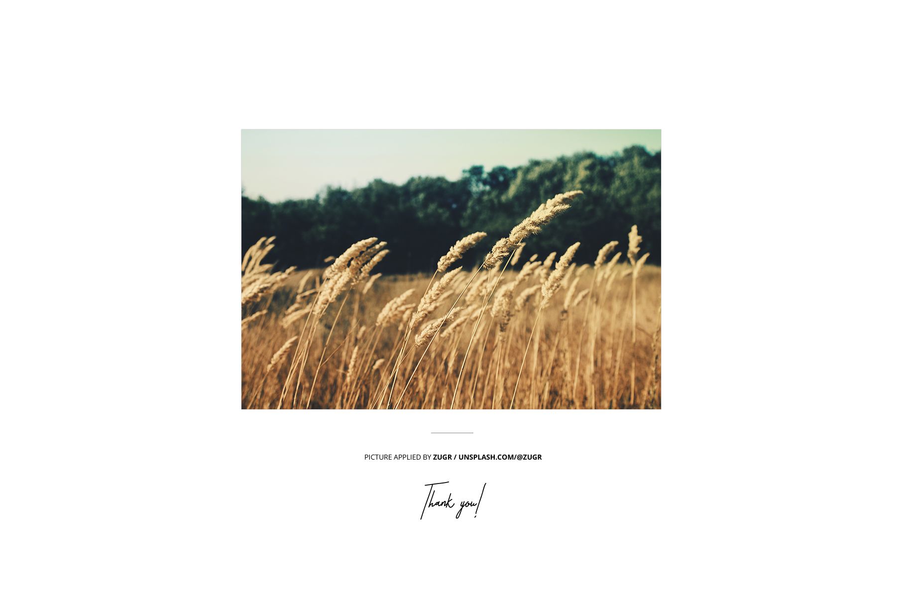 Front view of a Dibond and acrylic print mockup featuring a wheat field photograph with a blurred forest background.
