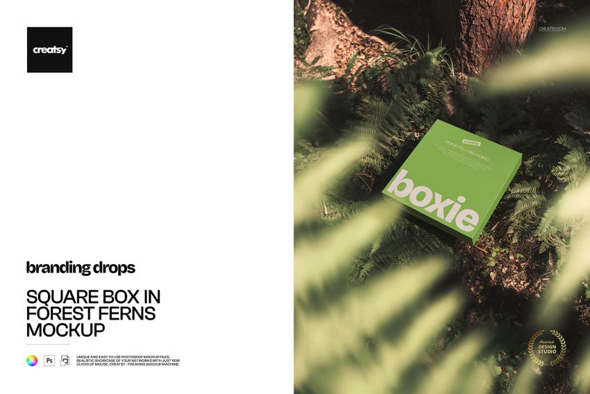 Green square packaging box mockup resting in natural forest ferns, top view with dappled sunlight and leafy shadows.