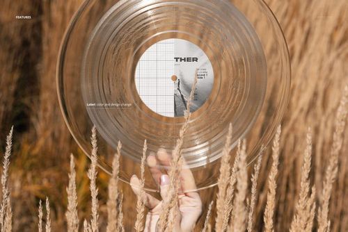 Clear vinyl record held by a hand in a meadow with tall golden grass, front view, PSD mockup scene.