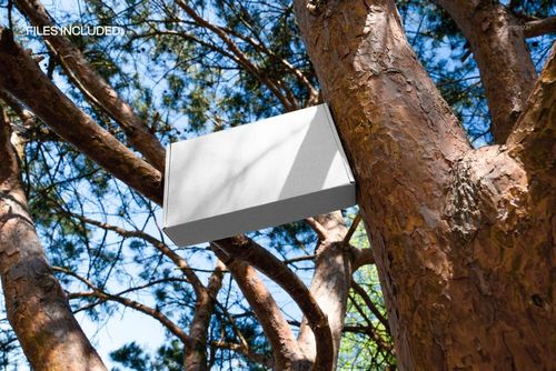 Blank mailer box mockup resting among pine tree branches, captured from below with natural daylight and forest background.