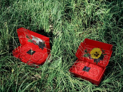 Open red packaging boxes featuring floral patterns sit side by side in grassy outdoor surroundings, mockup style.