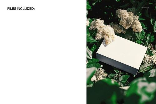 White packaging box mockup resting in dense elderflower bush with sunlight highlighting the foliage and flowers.