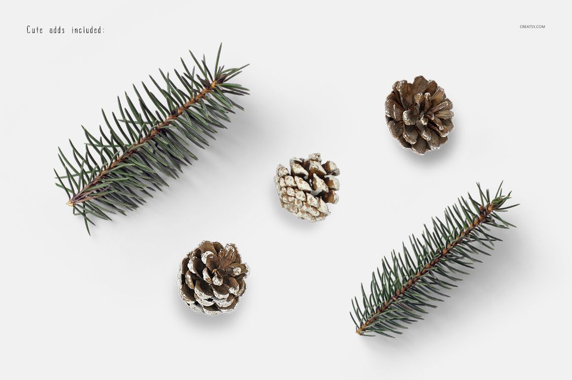 Two pine branches and three pine cones with frosted tips arranged on a white surface, viewed from above.