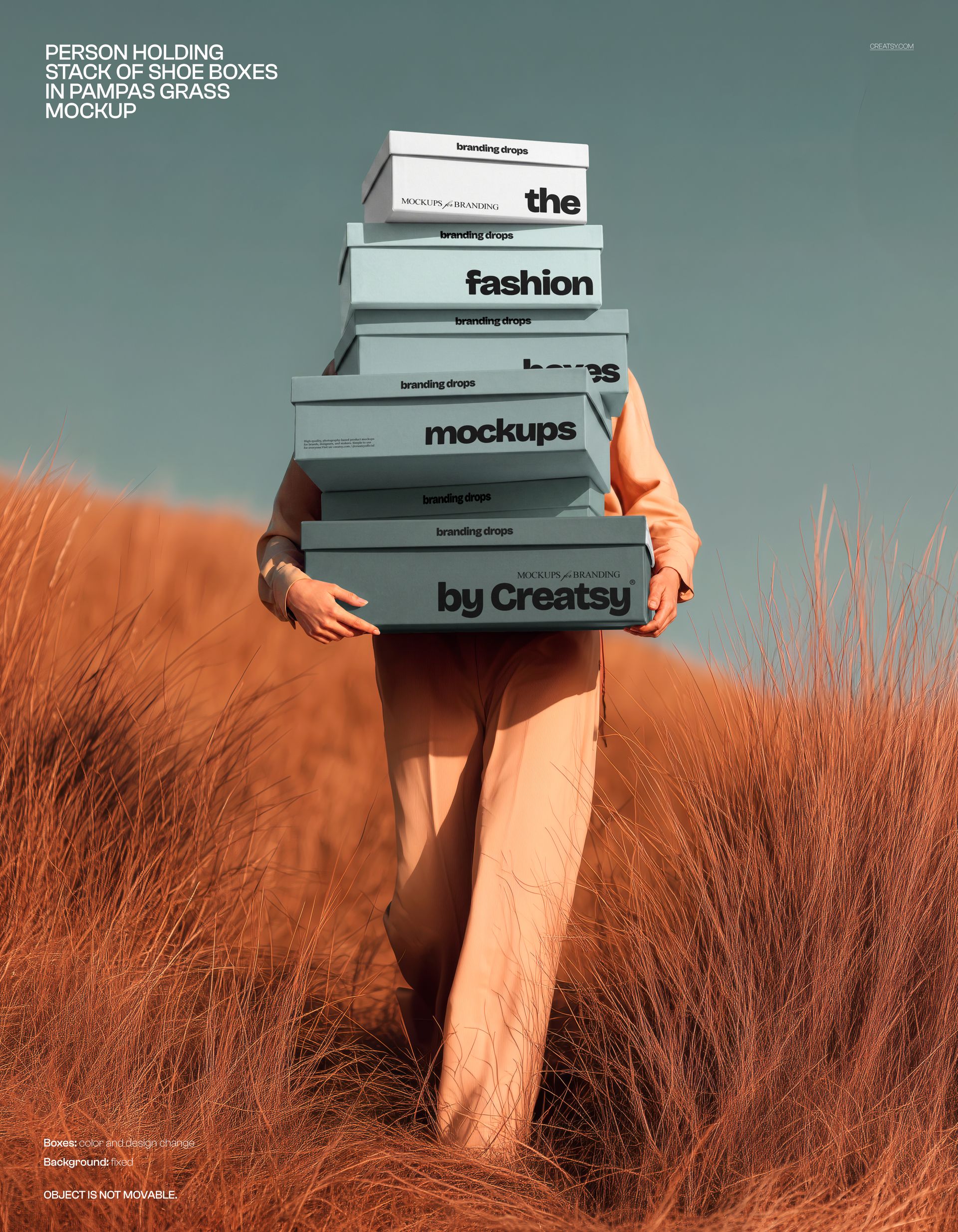 Person standing in tall pampas grass holding a stack of rectangular shoe boxes with branding mockup designs.