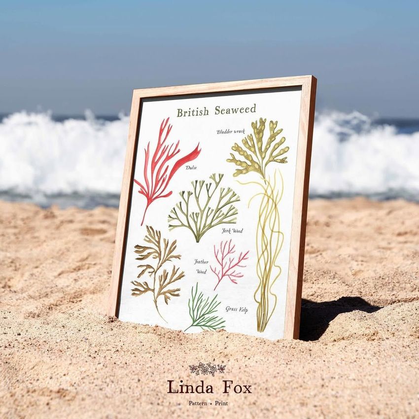 British Seaweed by Linda Fox  - Files in Use example