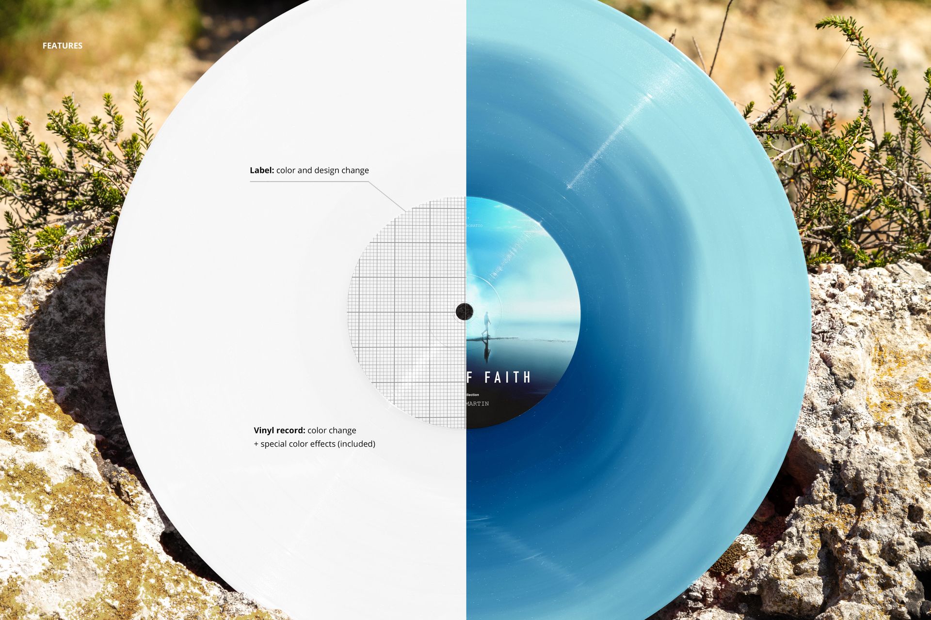 Vinyl record mockup displayed on rocky shore, split design showing white and blue variants, top view perspective.