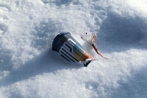Winter-themed PSD mockup featuring a paper cup with a dark lid resting in fresh snow beside a dried leaf.