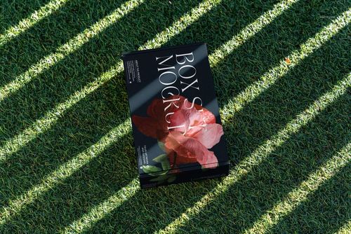 Black mailing box mockup with large red flower graphic placed outdoors on textured grass with sunlight stripes.