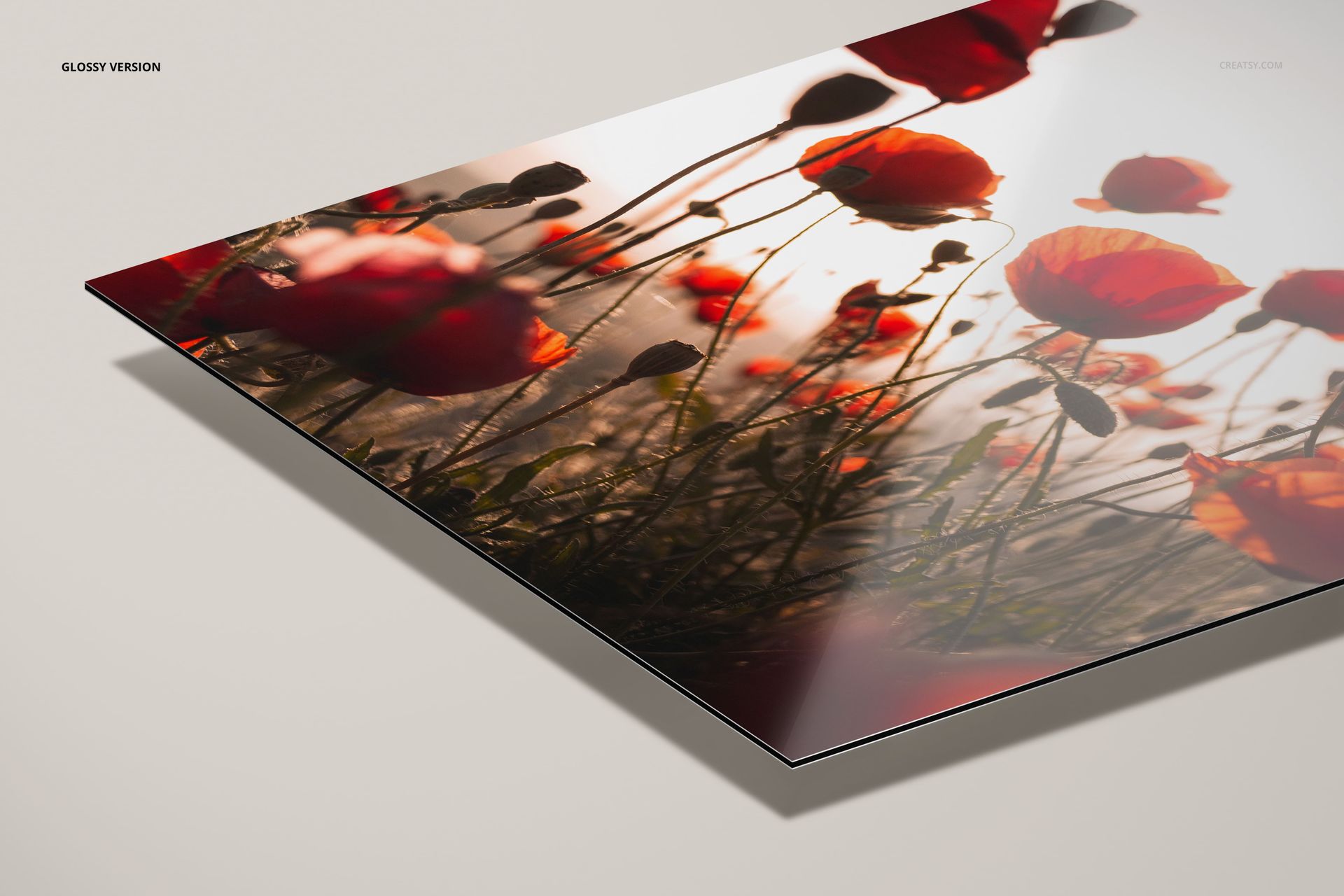 Glossy Dibond aluminum print mockup displaying a field of red poppies with stems and leaves in warm light.