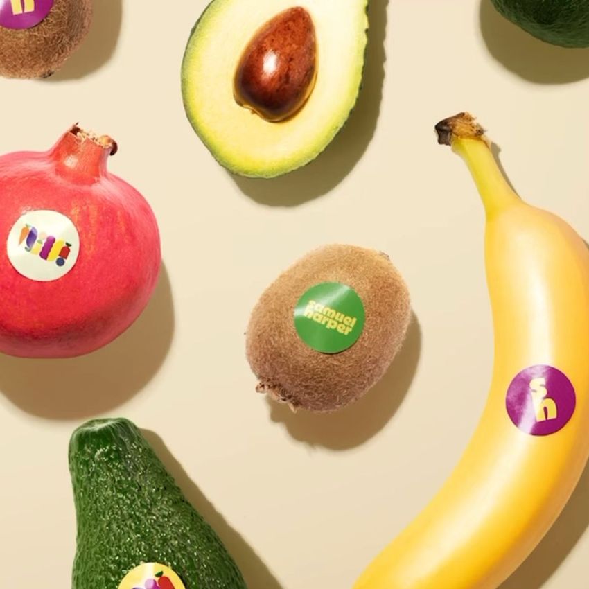 Samuel Harper by Sophie Hartl - Files in Use example