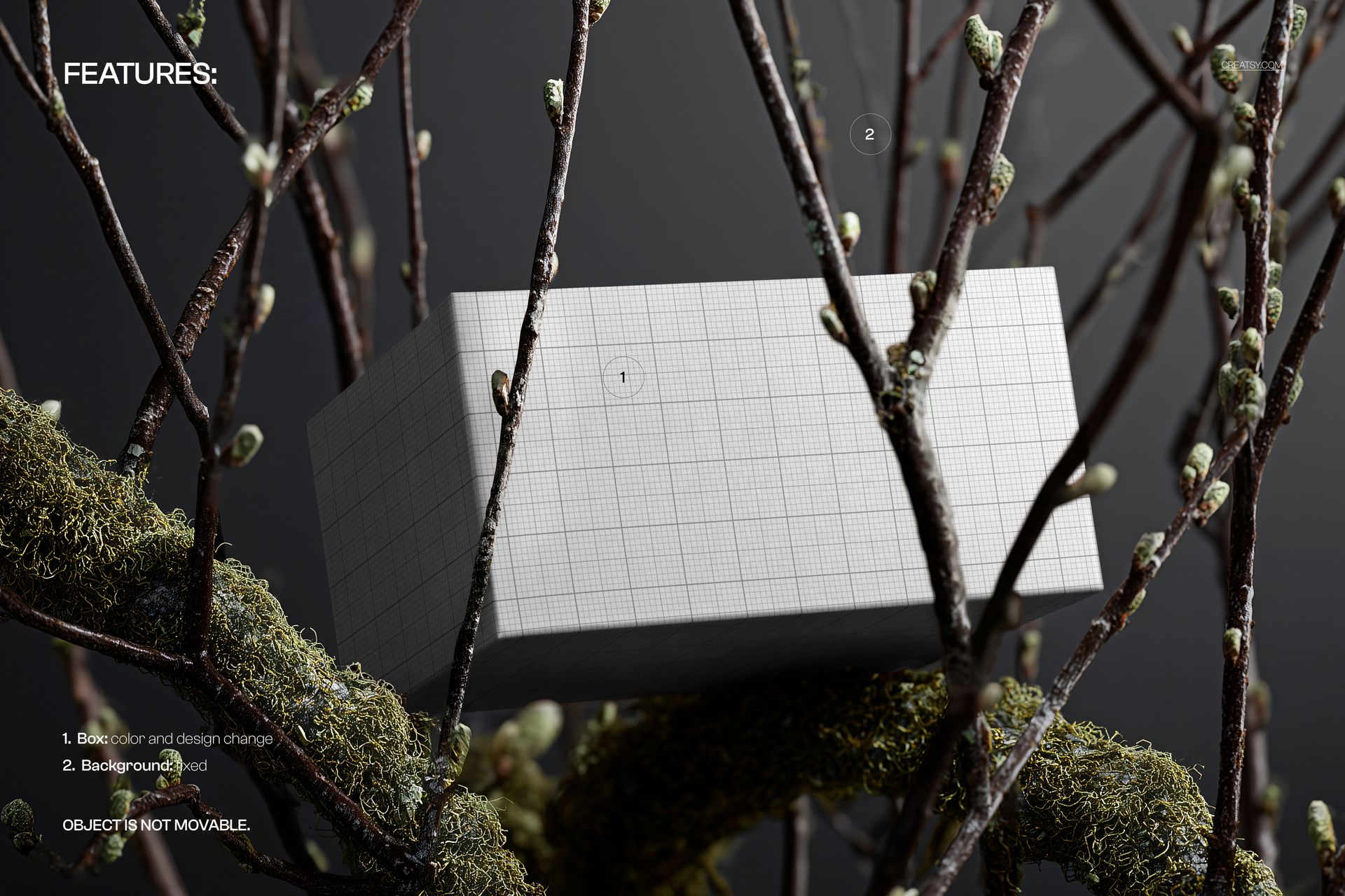 Mockup of a paper box featuring a grid design, nestled within textured tree branches and dark background.