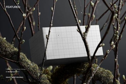 Mockup of a paper box featuring a grid design, nestled within textured tree branches and dark background.