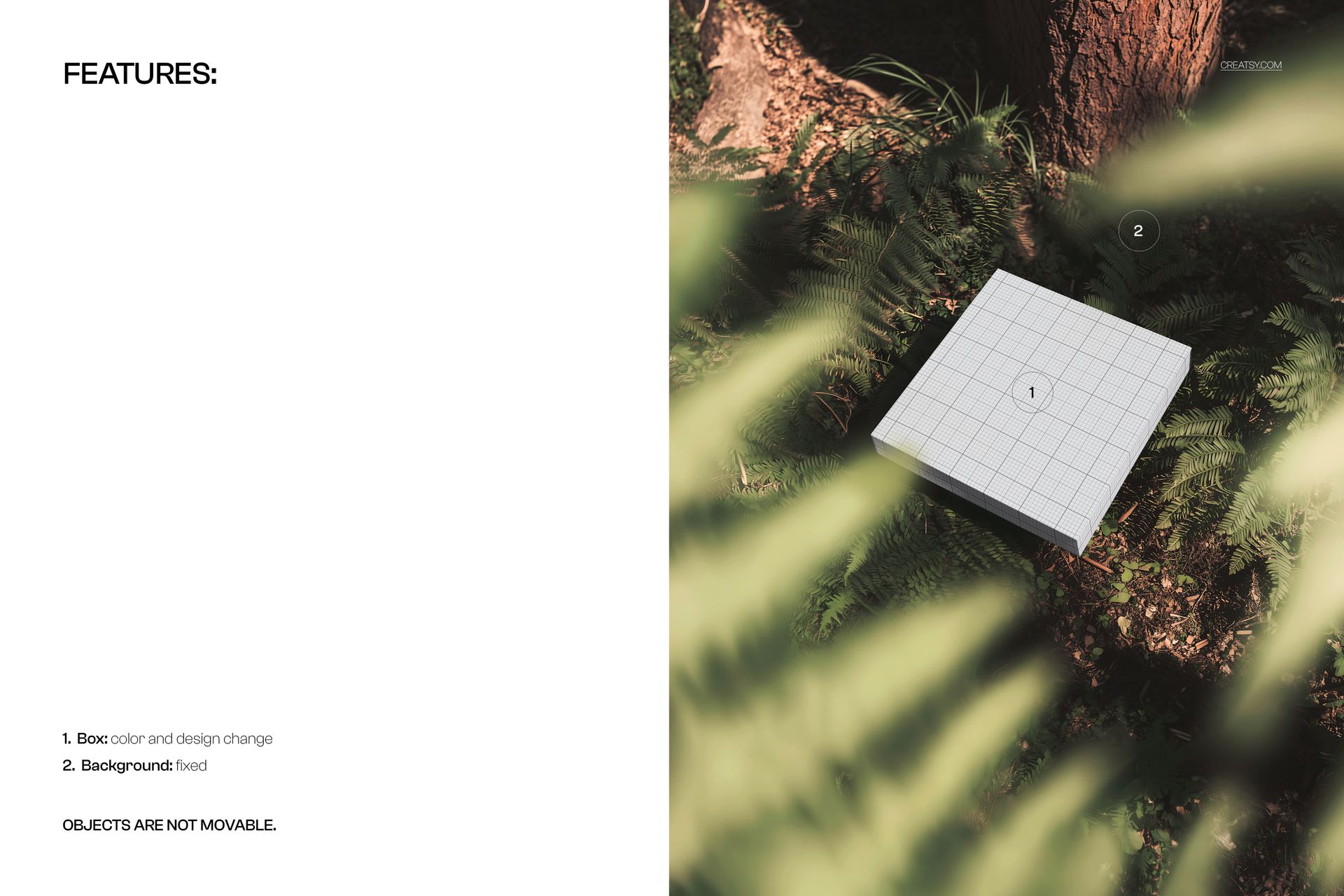 Square box mockup with a grid pattern placed among green ferns and tree trunks, viewed from above in sunlight.