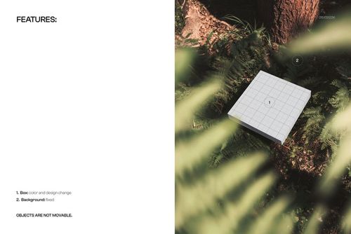 Square box mockup with a grid pattern placed among green ferns and tree trunks, viewed from above in sunlight.