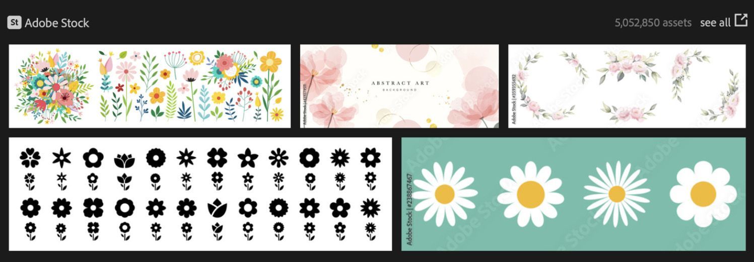 Illustrator-Adobe-Stock