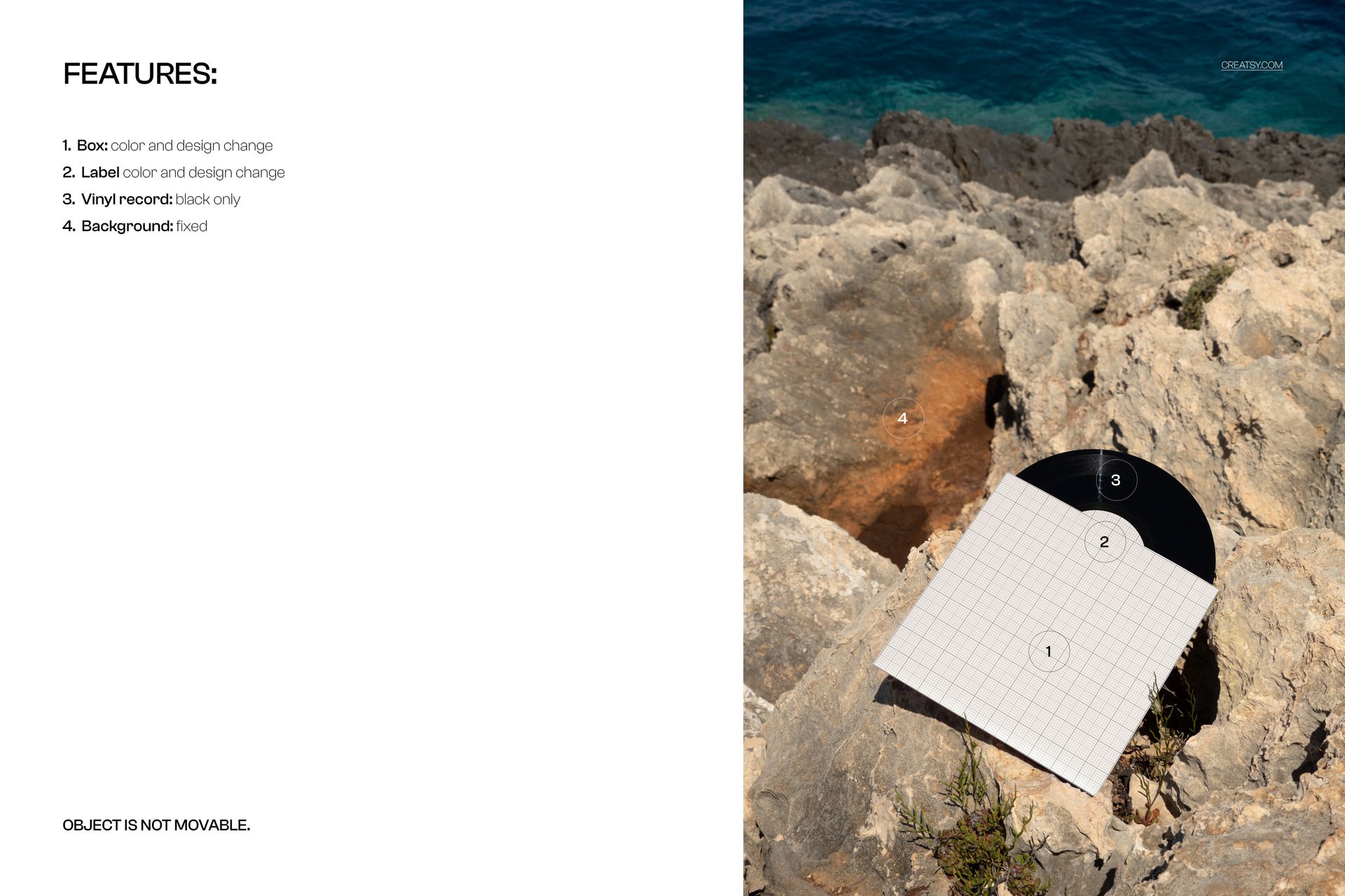 Black vinyl record mockup partially covered by a white grid square, resting on rocky terrain with a sea view.