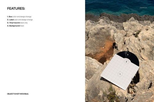Black vinyl record mockup partially covered by a white grid square, resting on rocky terrain with a sea view.