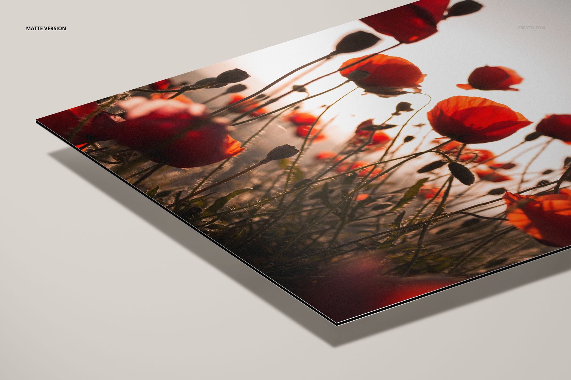 Angled perspective of a Dibond aluminum print mockup showing vibrant red poppies against a neutral background.