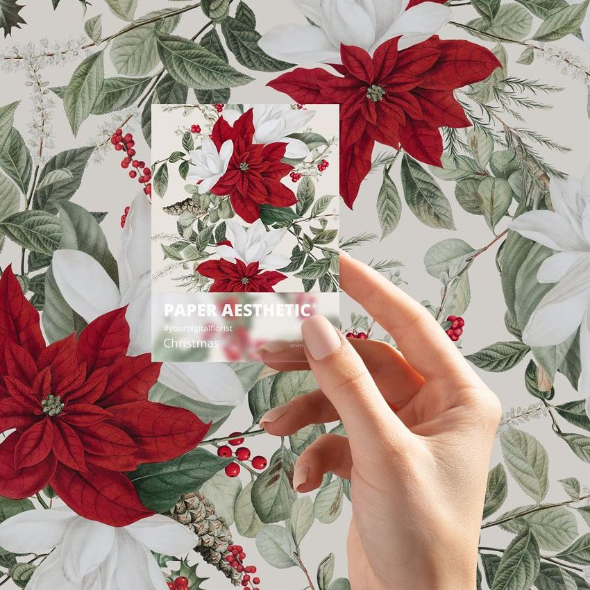 Christmas Flower  by Paper Aesthetic  - Files in Use example