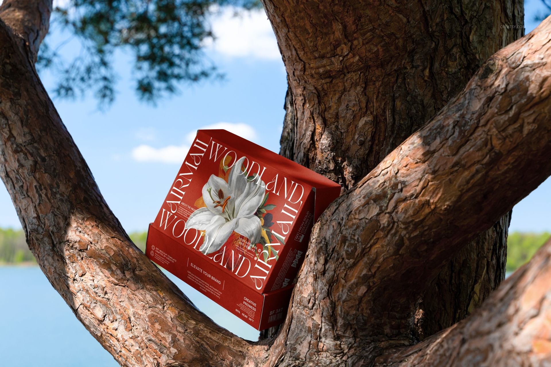 PSD mockup of a packaging box with floral artwork and stylized text, resting on a textured tree trunk in sunlight.