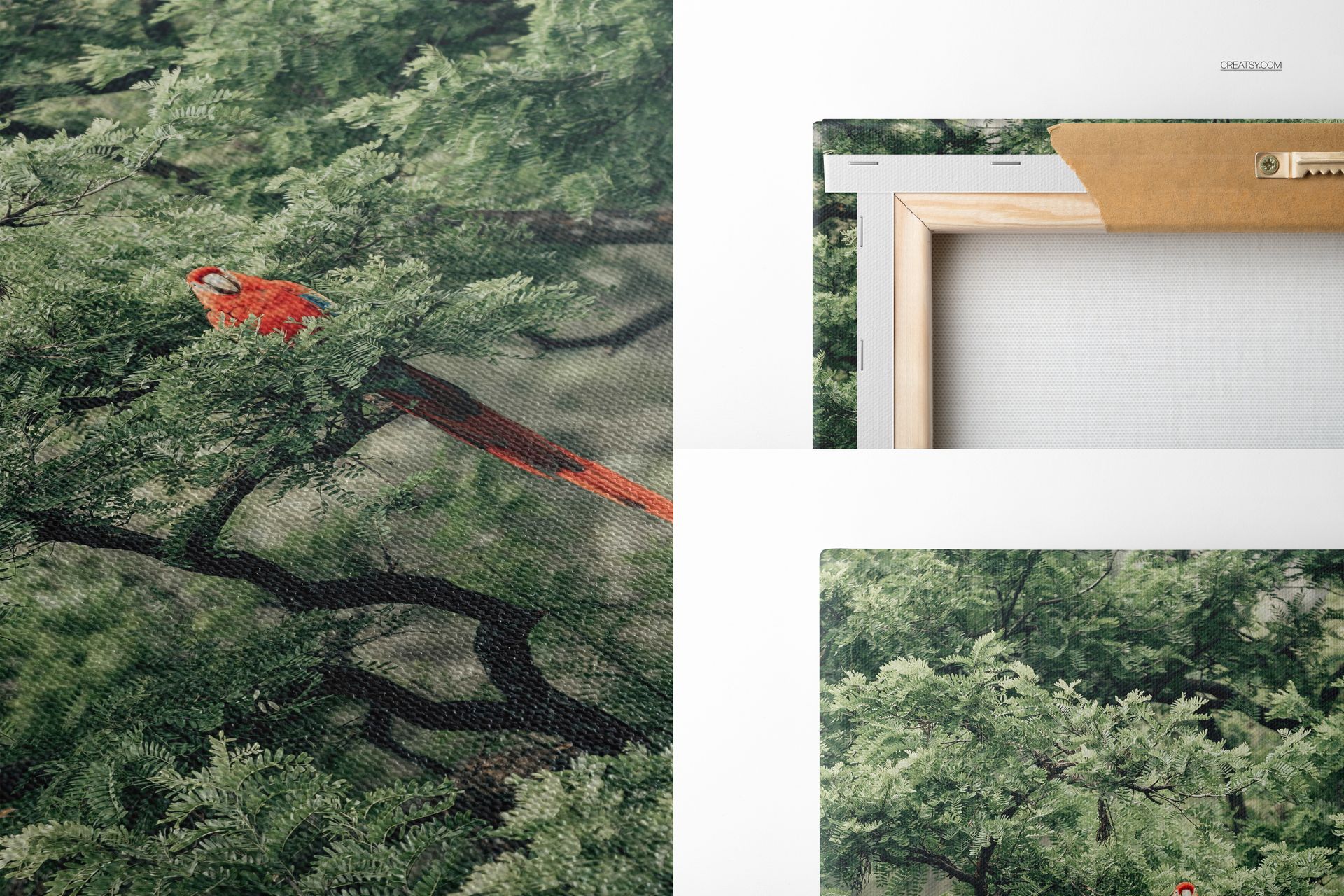 Detailed view of a canvas print mockup showing textured surface with a red parrot and leafy green trees, plus frame back.
