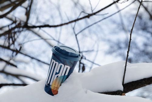 Winter-themed mockup of a blue paper cup with lid placed on snowy branch, visible tree limbs and sky behind.